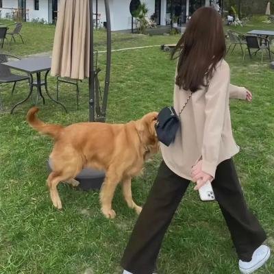 三小强